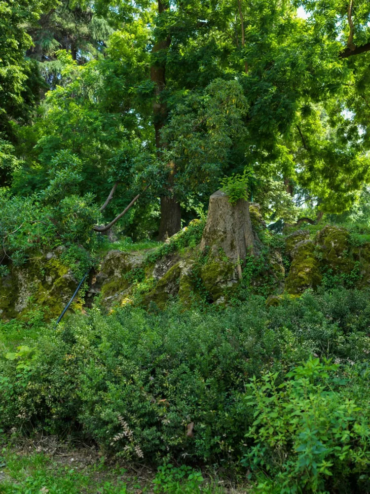 Realm of Flow