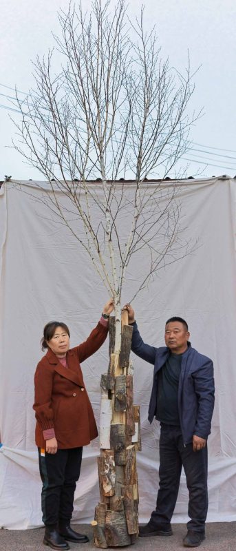 Fanhua- portfolio2024.pdf-image-032